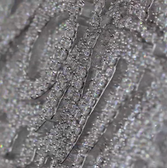 Custom Pendant - Vonte with Bird